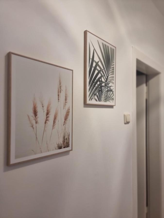 Apartment Naehe Duesseldorf Messe Expo, Airport, Train Station ดุยส์บูร์ก ภายนอก รูปภาพ